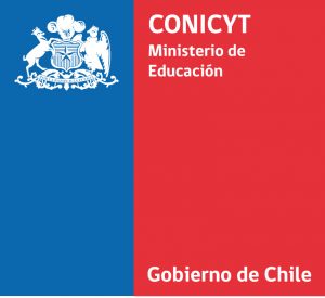 Lee más sobre el artículo Inicio ejecución proyecto Fondecyt regular investigadora PROESSA