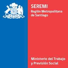 Lee más sobre el artículo Participación investigadora y directora PROESSA en Seminario SEREMI RM
