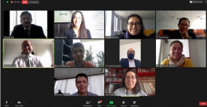 Lee más sobre el artículo Realización de seminario sobre la respuesta sanitaria institucional de países andinos a la migración venezolana