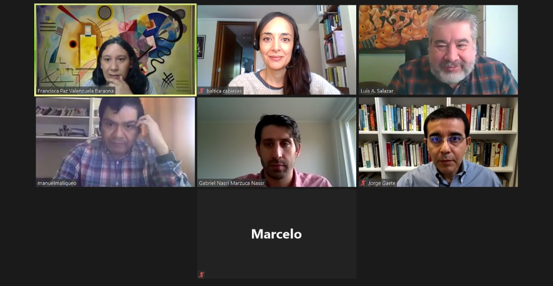 Lee más sobre el artículo Participación de investigadora PROESSA en grupo de estudio Fondecyt G2G3