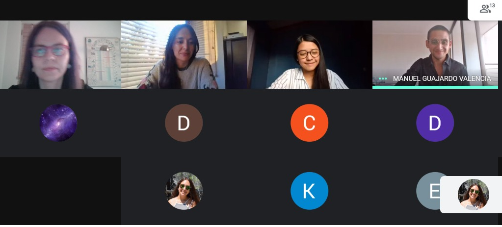 En este momento estás viendo Investigadoras de PROESSA participan en Webinar con estudiantes de la Universidad de Atacama