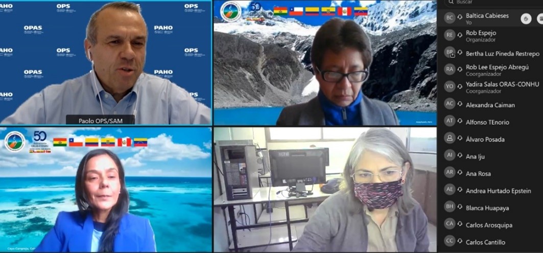 En este momento estás viendo Participación de directora PROESSA UDD en Reunión técnica sobre programa de salud de COP26