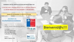 Lee más sobre el artículo Realización Seminario virtual Servicio de Salud Metropolitano Sur y equipo PROESSA UDD