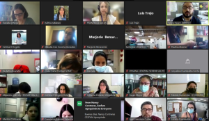 Lee más sobre el artículo Participación de directora PROESSA en Webinar sobre Infancia Salud y Migración de MINSAL