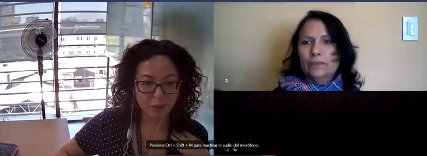 Lee más sobre el artículo Participación de investigadora PROESSA en Seminario internacional