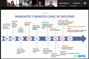 Lee más sobre el artículo Participación de directora PROESSA en reunión internacional sobre Salud, COVID-19 y migraciones :