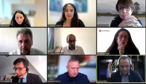 Lee más sobre el artículo Participación de investigadora PROESSA en Webinar organizado por Lancet Migration sobre salud de niños en movilidad