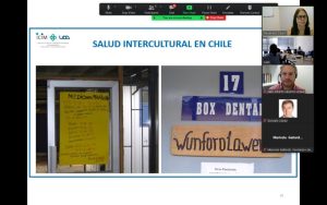 Lee más sobre el artículo Participación directora PROESSA como expositora en curso para profesionales de Salud en Magallanes
