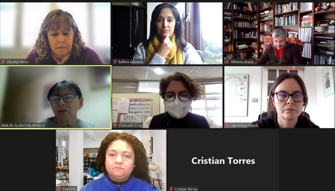 Lee más sobre el artículo Participación equipo PROESSA en reunión cierre levantamiento información FONIS