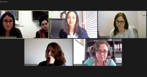 Lee más sobre el artículo Participación de investigadoras PROESSA UDD en reunión técnica con MINSAL