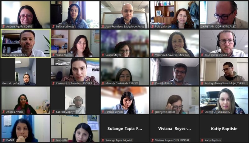 Lee más sobre el artículo Participación investigadora PROESSA UDD en mesa técnica MINSAL sobre salud de migrantes