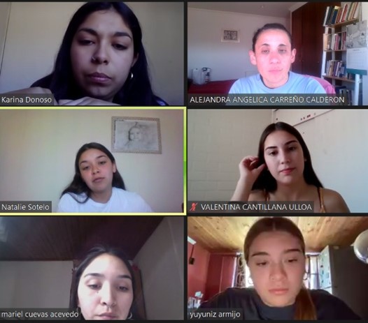 Lee más sobre el artículo Participación de investigadora PROESSA en tutoría de tesis con estudiantes UBO