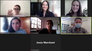 Lee más sobre el artículo Participación investigadoras PROESSA en sesión sincrónica Diplomado Salud y Migración internacional