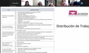 Lee más sobre el artículo Participación investigadora PROESSA UDD en reunión colaborativa ACHIEEN