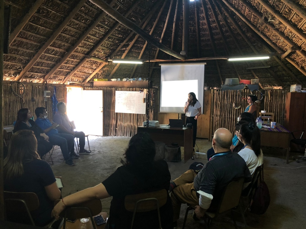Lee más sobre el artículo Taller con equipos de salud de La Pintana sobre salud mental de personas migrantes