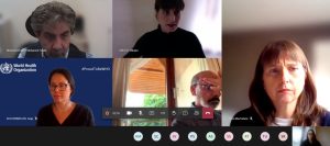 Lee más sobre el artículo Participación investigadora CeSGI en sesión de priorización salud migrantes organizada por OMS