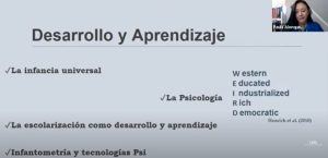 Lee más sobre el artículo Organización de segundo Webinar 3 i sobre el caso de NNA pertenecientes a pueblos indígenas