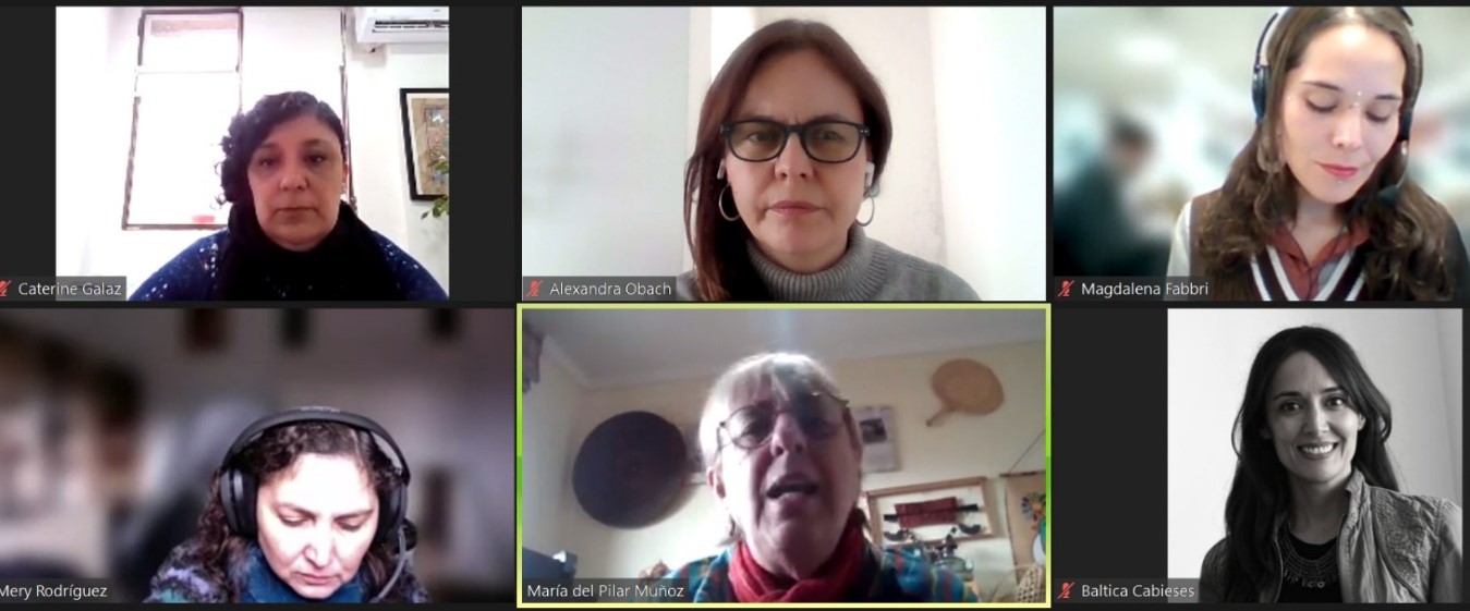 Lee más sobre el artículo Desarrollo de cuarto Webinar sobre Interculturalidad, interseccionalidad e intersectorialidad