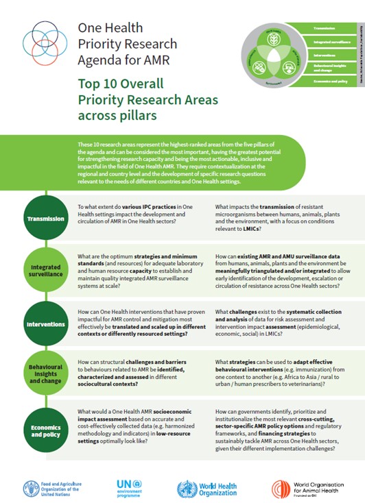 Lee más sobre el artículo Participación de directora CESGI en trabajo de priorización global de resistencia antimicrobiana de OMS