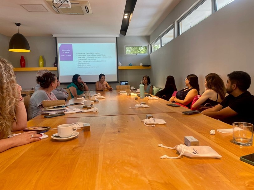 Lee más sobre el artículo Reunión Diplomado Investigación en Docencia Universitaria